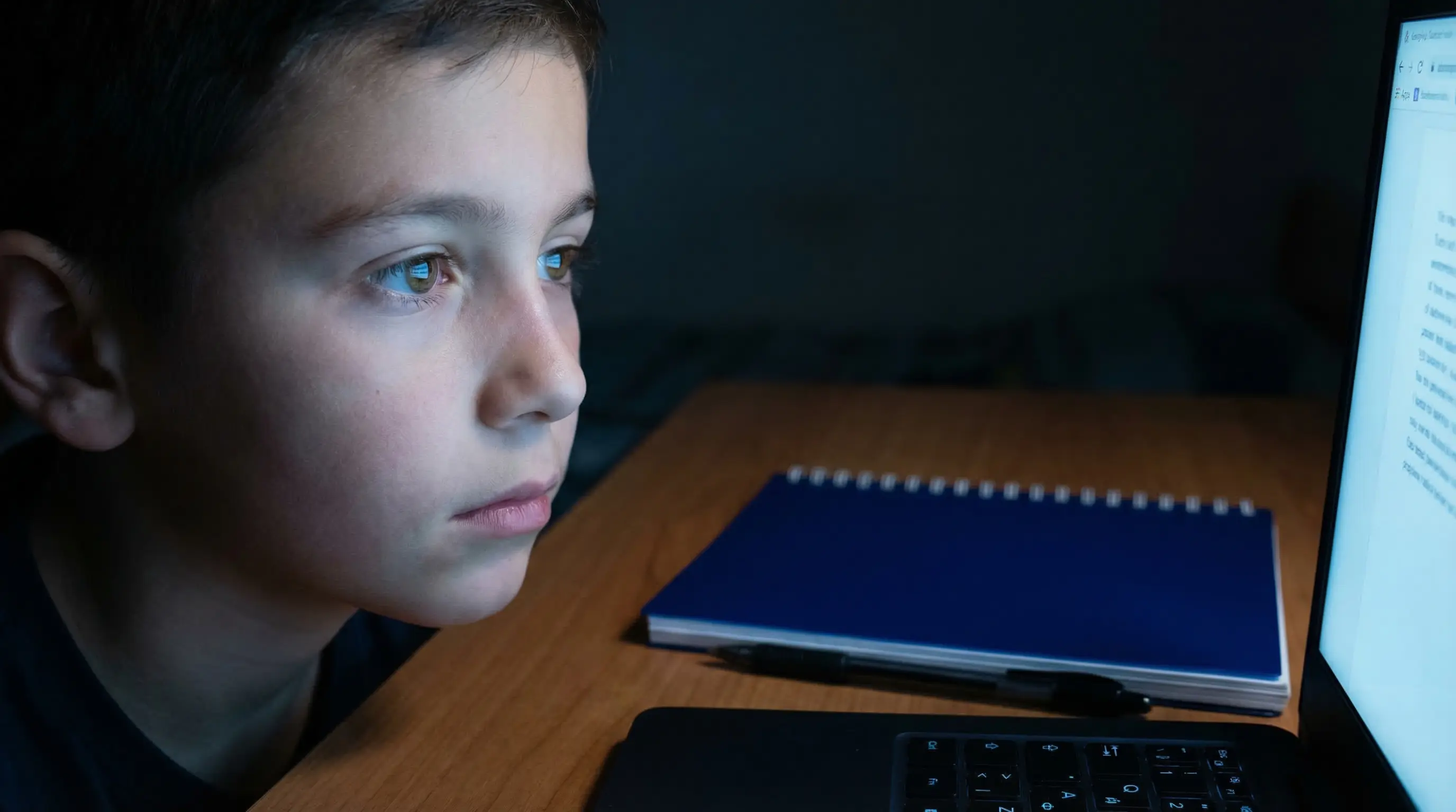 Подросток за ноутбуком в тёмной комнате, экран освещает лицо голубым светом. Рядом лежит закрытая тетрадь и ручка, к которым никто не прикасался. Кинематографичное освещение, атмосфера отчуждения.